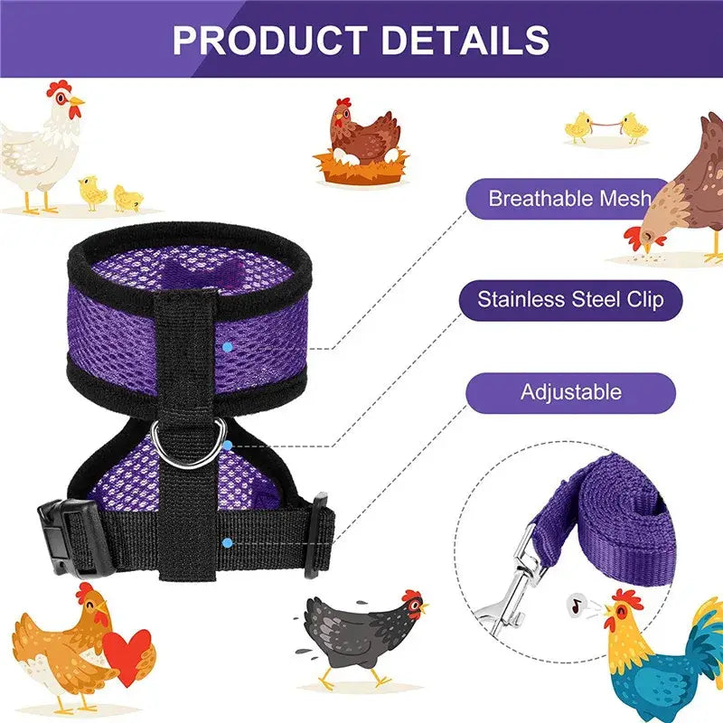 Purple breathable mesh chicken harness with black adjustable straps and stainless steel clip for poultry supplies