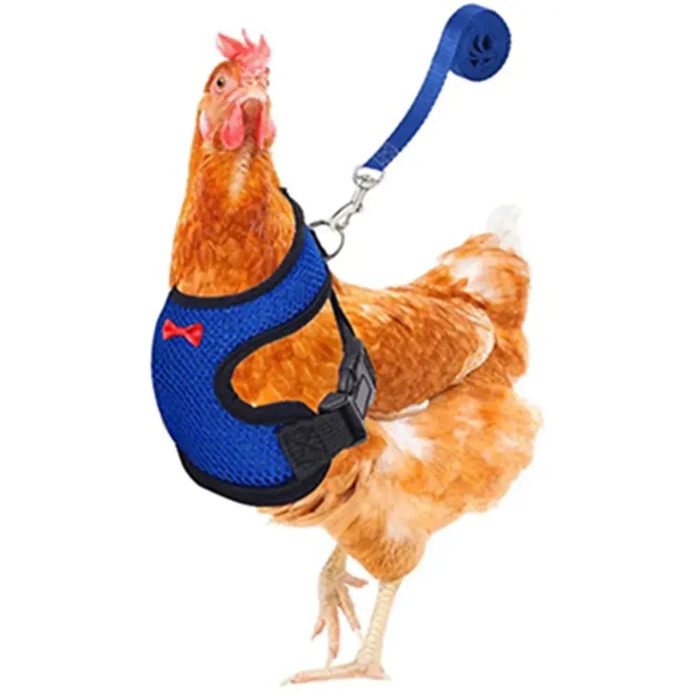 Blue mesh chicken and duck pet harness with black trim red bow and matching leash breathable poultry vest belt