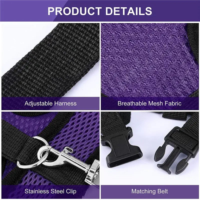 Purple and black adjustable pet harness with breathable mesh fabric and stainless steel clip for fashion chicken duck hens