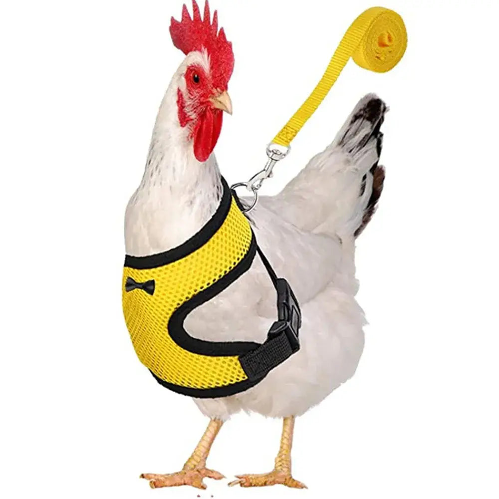 Yellow mesh fashion chicken duck vest harness with black trim bow detail and matching yellow leash for poultry supplies
