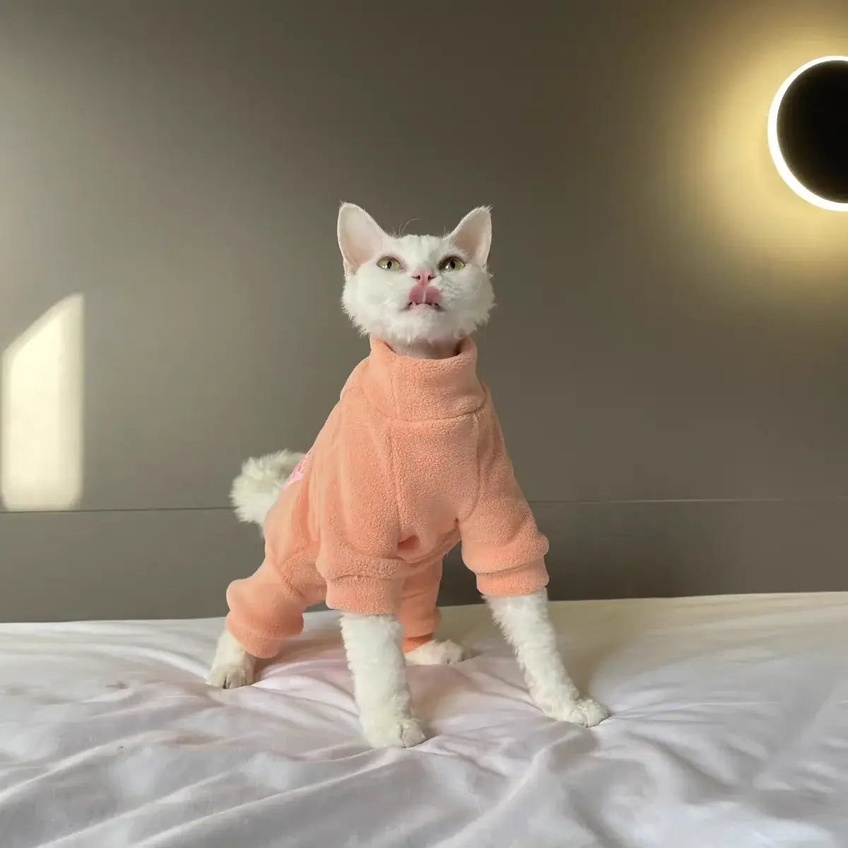 Warm Fleece FourLegged Jumpsuit for Sphynx Cats