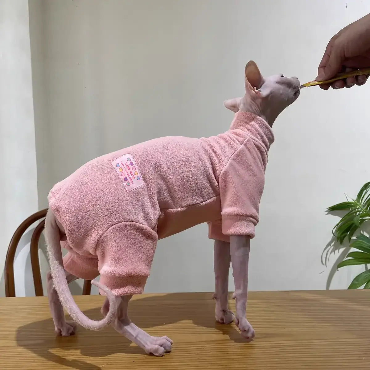 Warm Fleece FourLegged Jumpsuit for Sphynx Cats