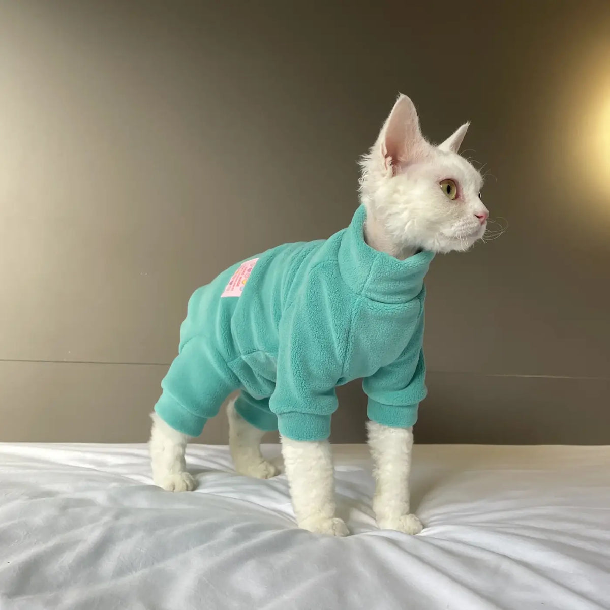Warm Fleece FourLegged Jumpsuit for Sphynx Cats