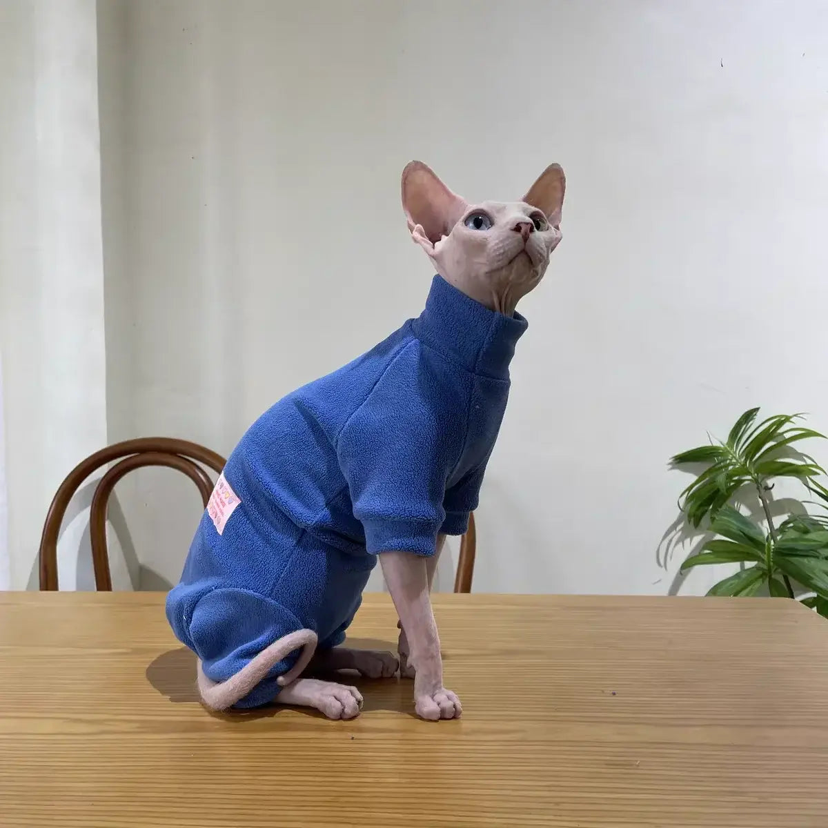 Warm Fleece FourLegged Jumpsuit for Sphynx Cats