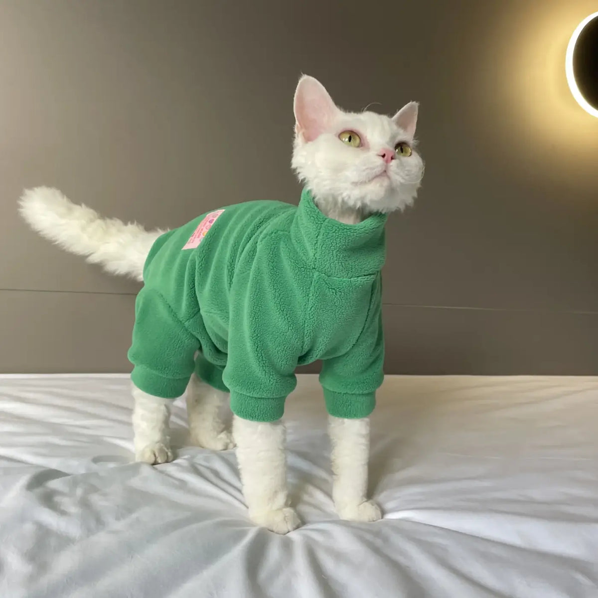 Warm Fleece FourLegged Jumpsuit for Sphynx Cats