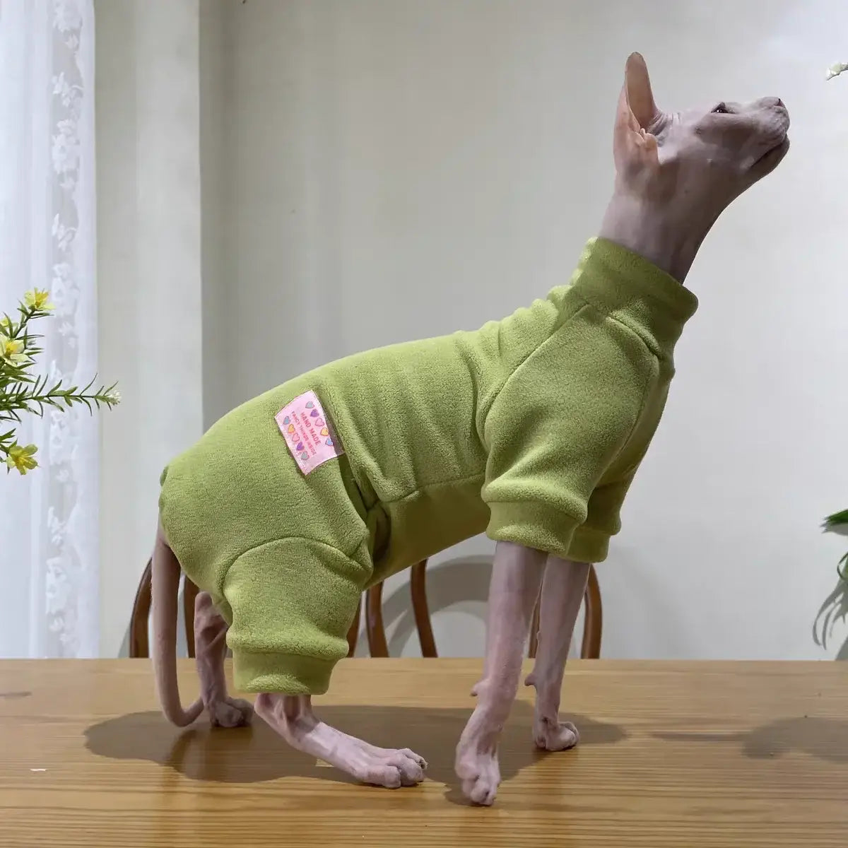 Warm Fleece FourLegged Jumpsuit for Sphynx Cats
