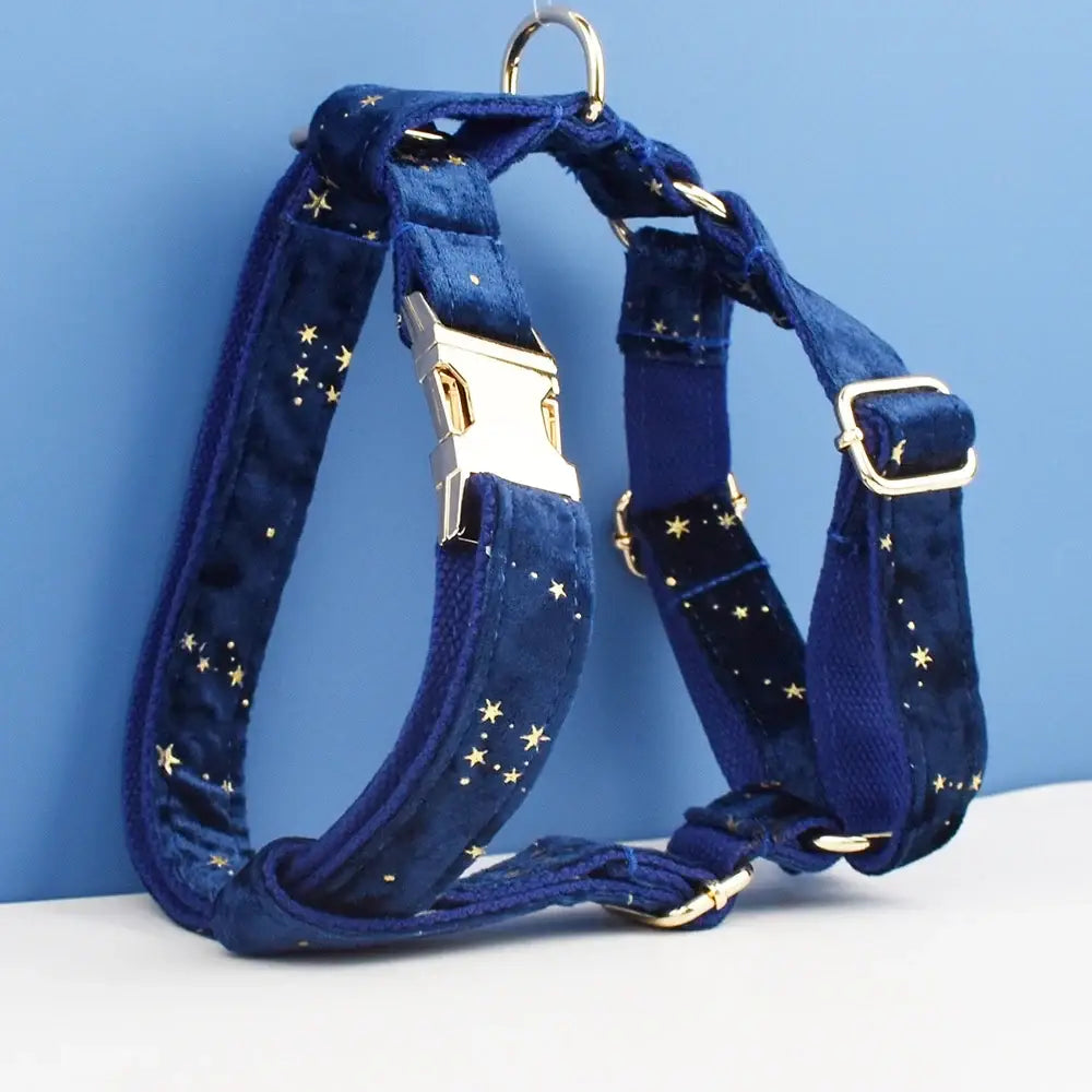 Deep blue velvet dog harness with golden star patterns and gold-toned hardware from floral sublimation bow set