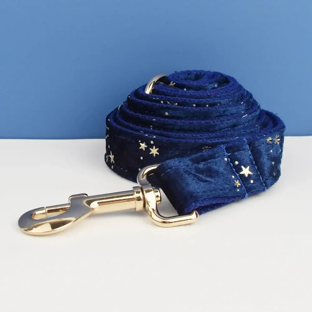 Floral sublimation dog collar leash harness bow set featuring deep blue velvet leash with gold star embroidery and brass clip