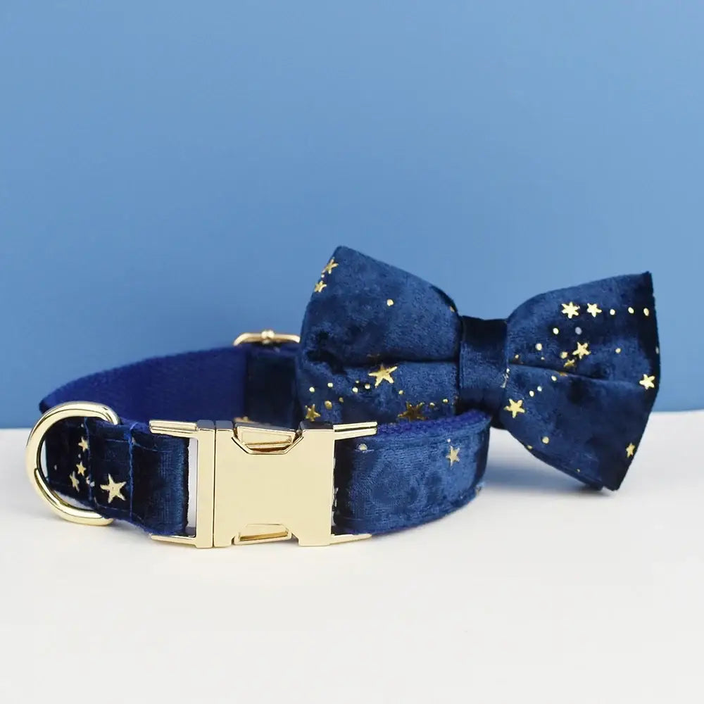 Deep blue velvet dog collar and bow tie with gold star pattern and polished gold-tone buckle from floral sublimation set