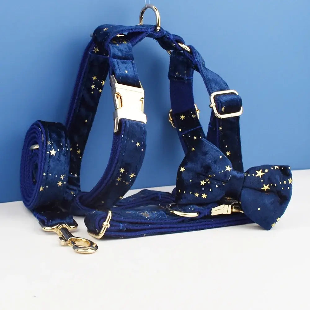 Deep blue velvet dog harness set with gold star patterns and matching bow tie from floral sublimation collection