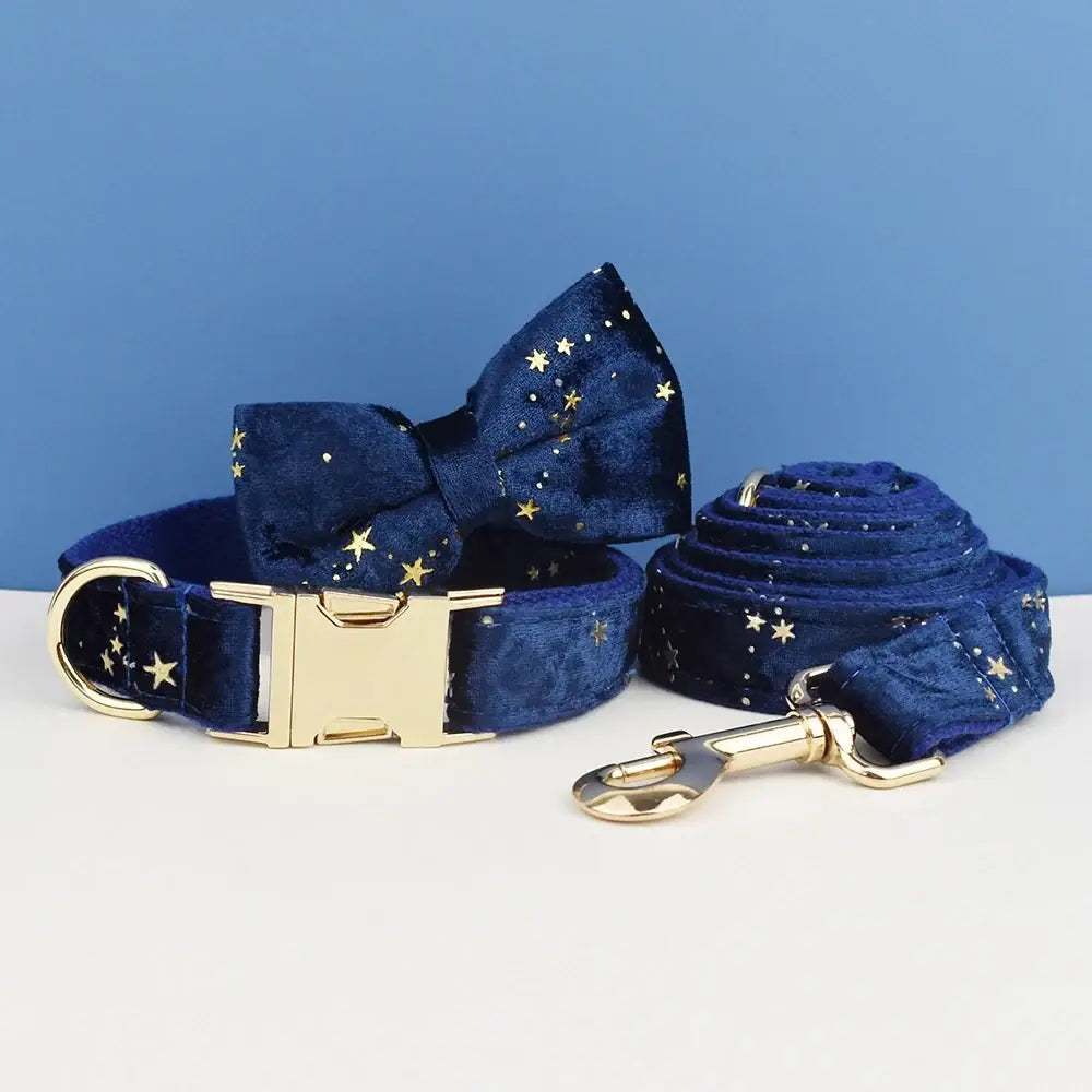 Deep blue velvet dog collar leash harness bow set with gold star pattern and polished brass hardware