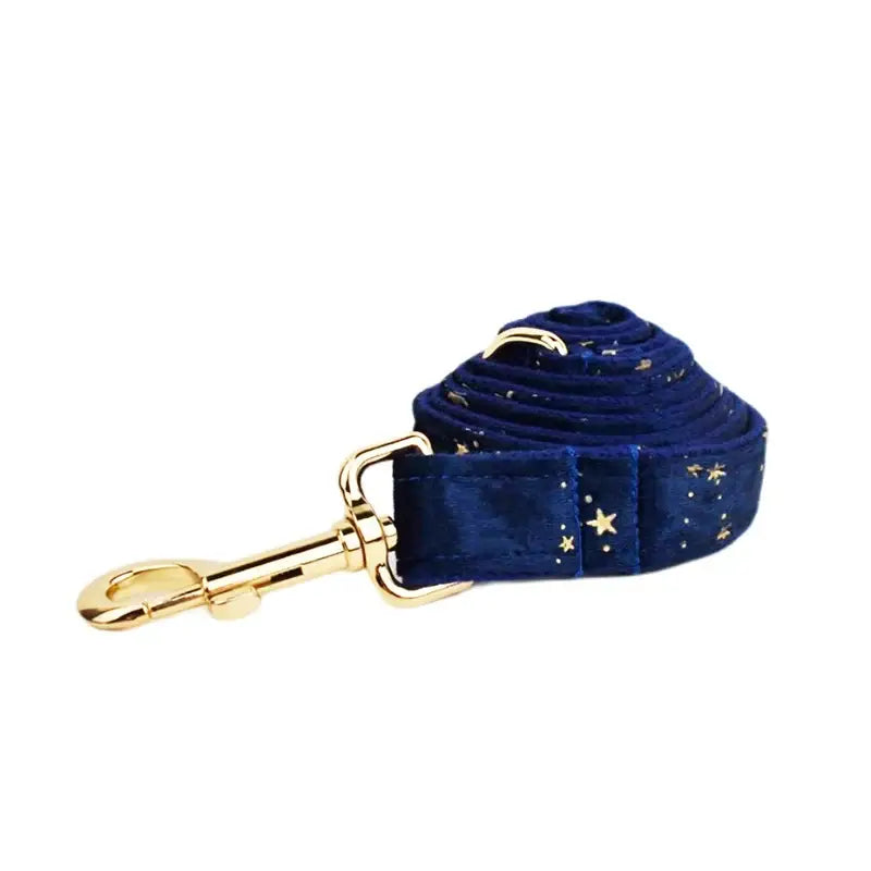 Deep blue velvet dog leash with gold star embroidery and brass hardware from the floral sublimation dog collar leash harness bow set