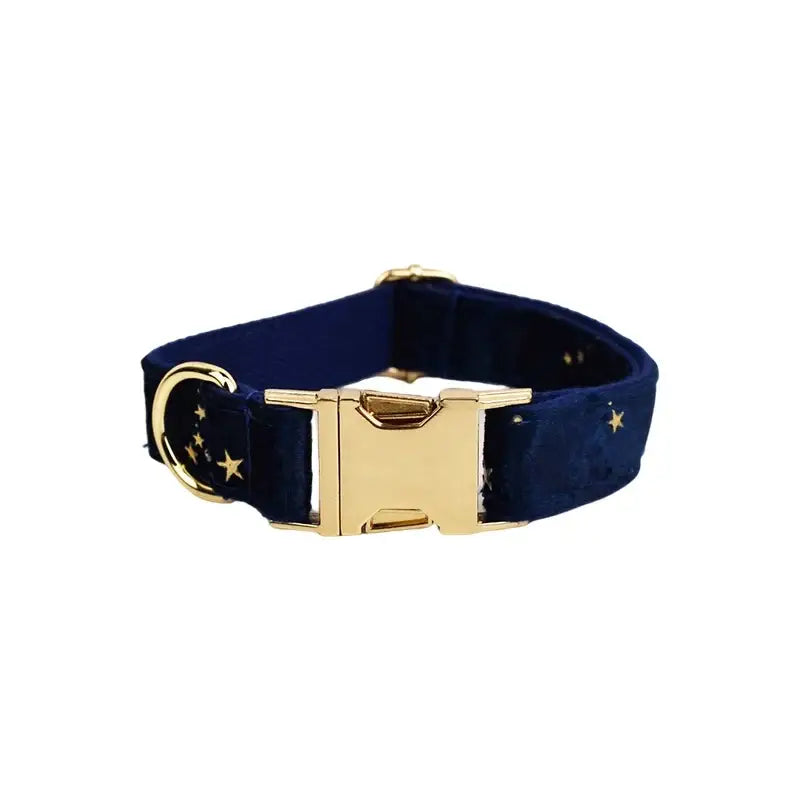 A navy velvet dog collar with gold star embroidery and a polished gold buckle from a floral sublimation set