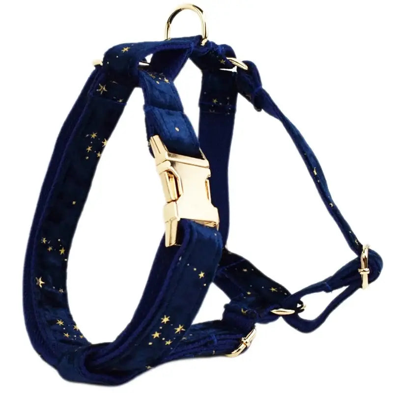 Deep navy velvet dog harness with golden star patterns and gold tone metal hardware from floral sublimation set