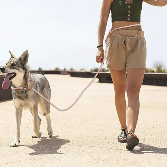 Pink woven hands free adjustable p shape dog leash with matching collar and metal hardware for running