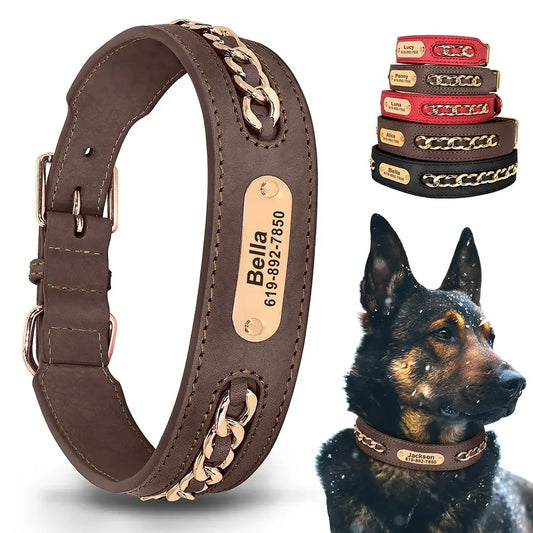 Personalized Engraved Leather Dog Collar and ID Nameplate