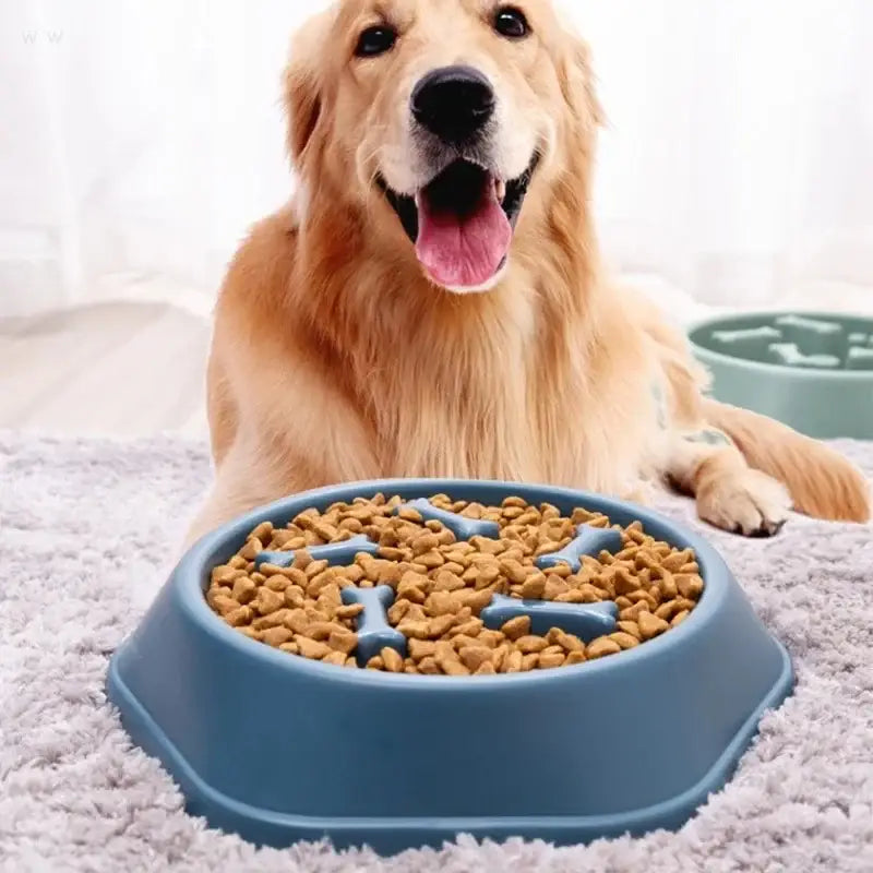 Blue hexagonal pp plastic slow food dog bowl with bone-shaped dividers for anti-choking feeding supplies