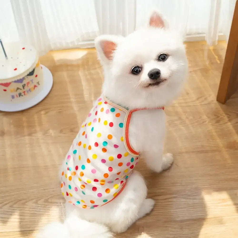A fluffy white dog wearing a colorful polka-dot mesh sunscreen vest with orange trim for pets and puppies