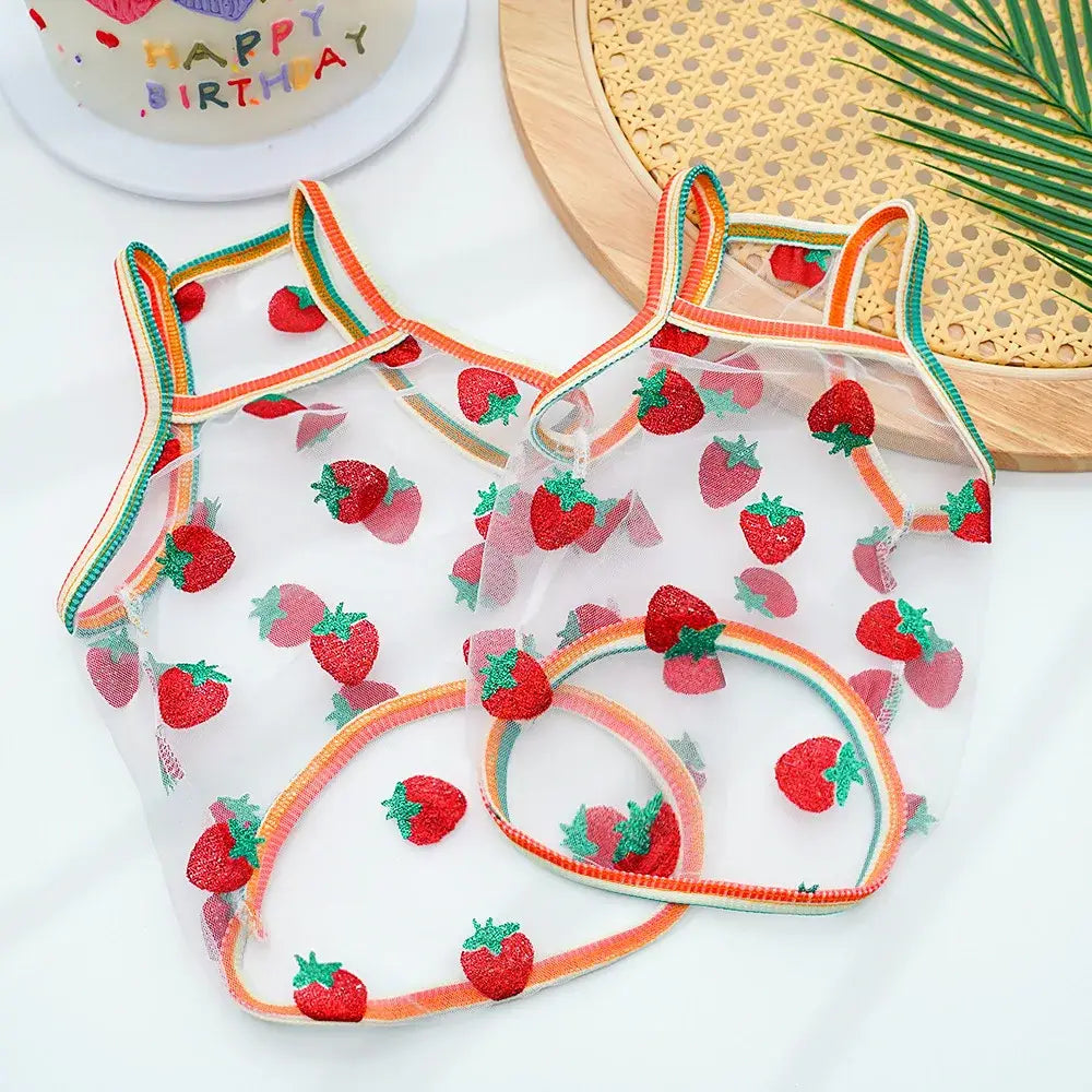 Clear strawberry patterned mesh pet sunscreen vest with rainbow trimmed straps for dogs and cats