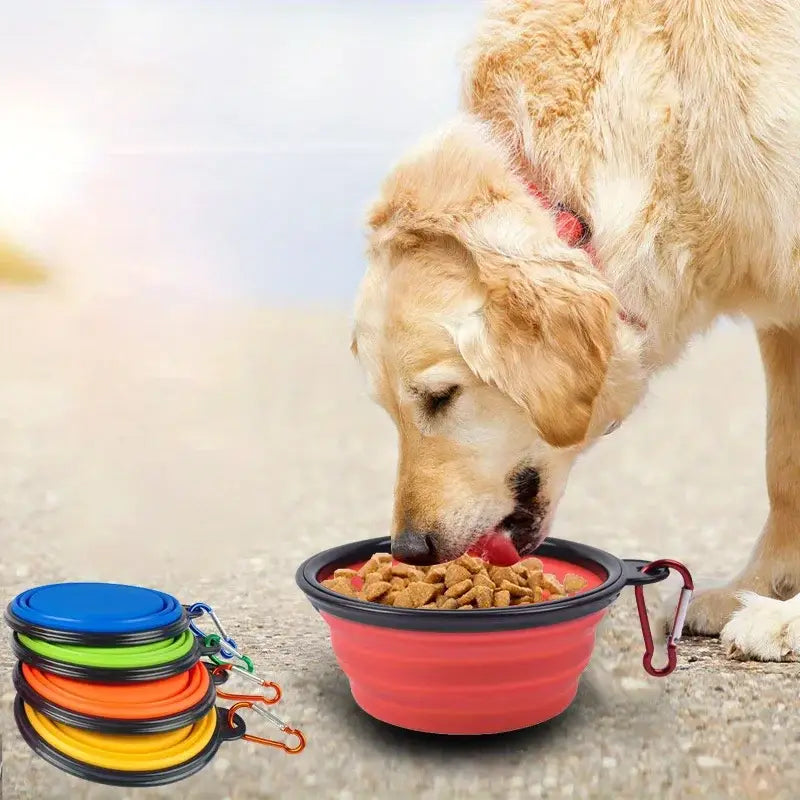 Red collapsible silicone dog folding travel bowl with carabiner clip for portable pet use