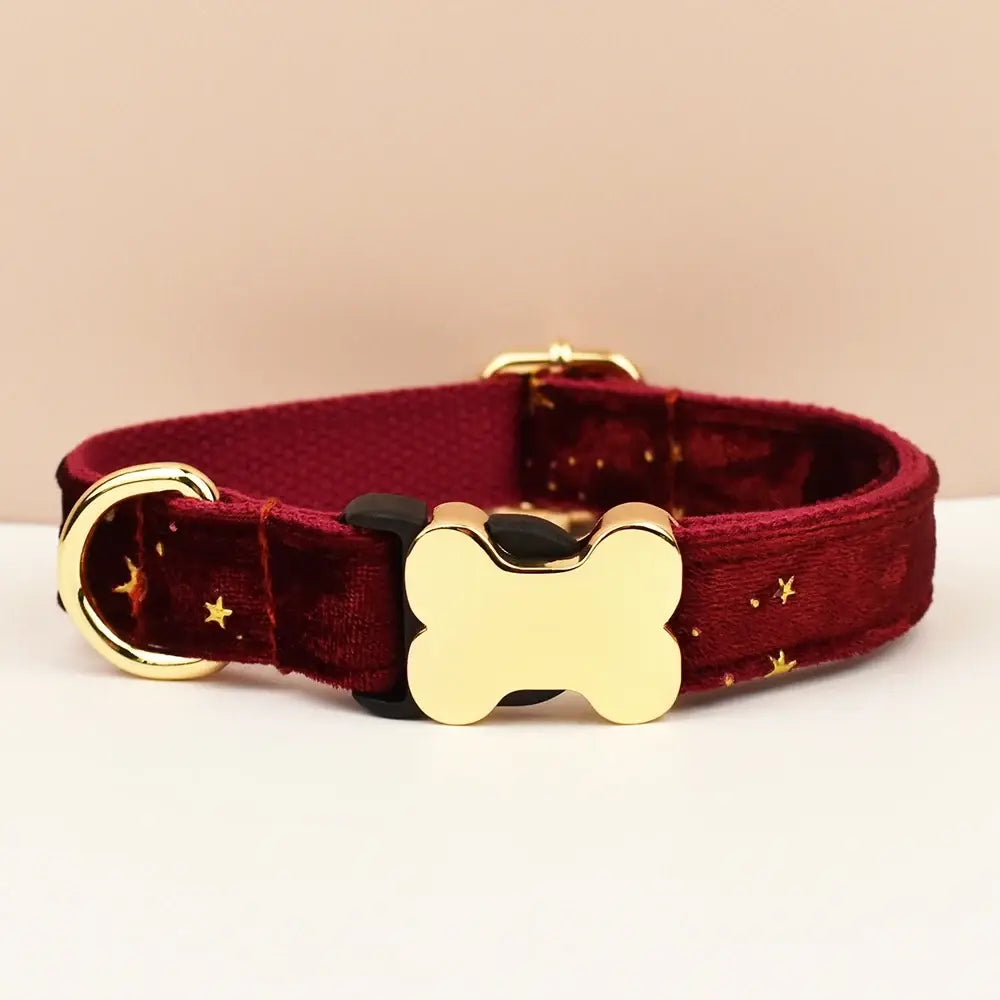 Premium custom engraved burgundy velvet dog collar with gold stars and bone shaped buckle for small medium large dogs