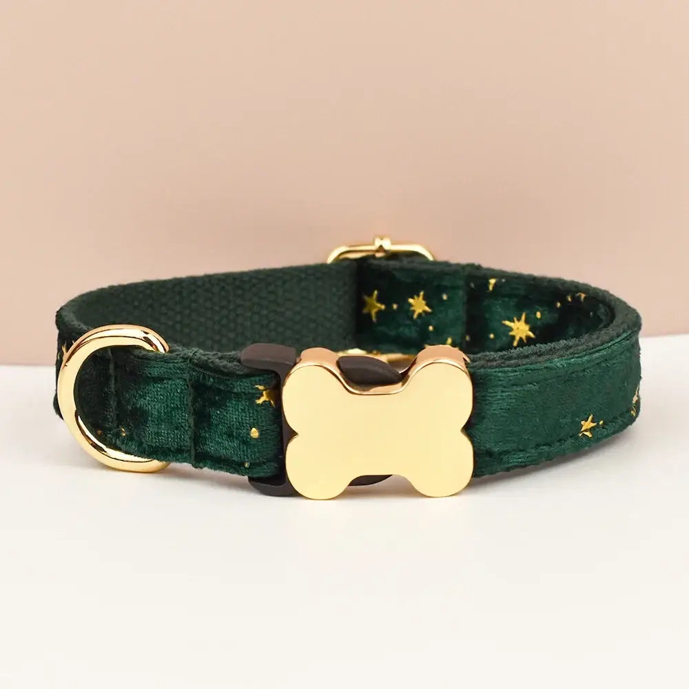 Premium custom engraved deep green velvet dog collar with gold star embroidery and bone shaped brass buckle for pets