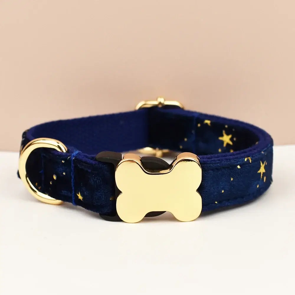 Premium custom engraved navy velvet dog collar with gold stars and polished bone-shaped metal buckle for pets