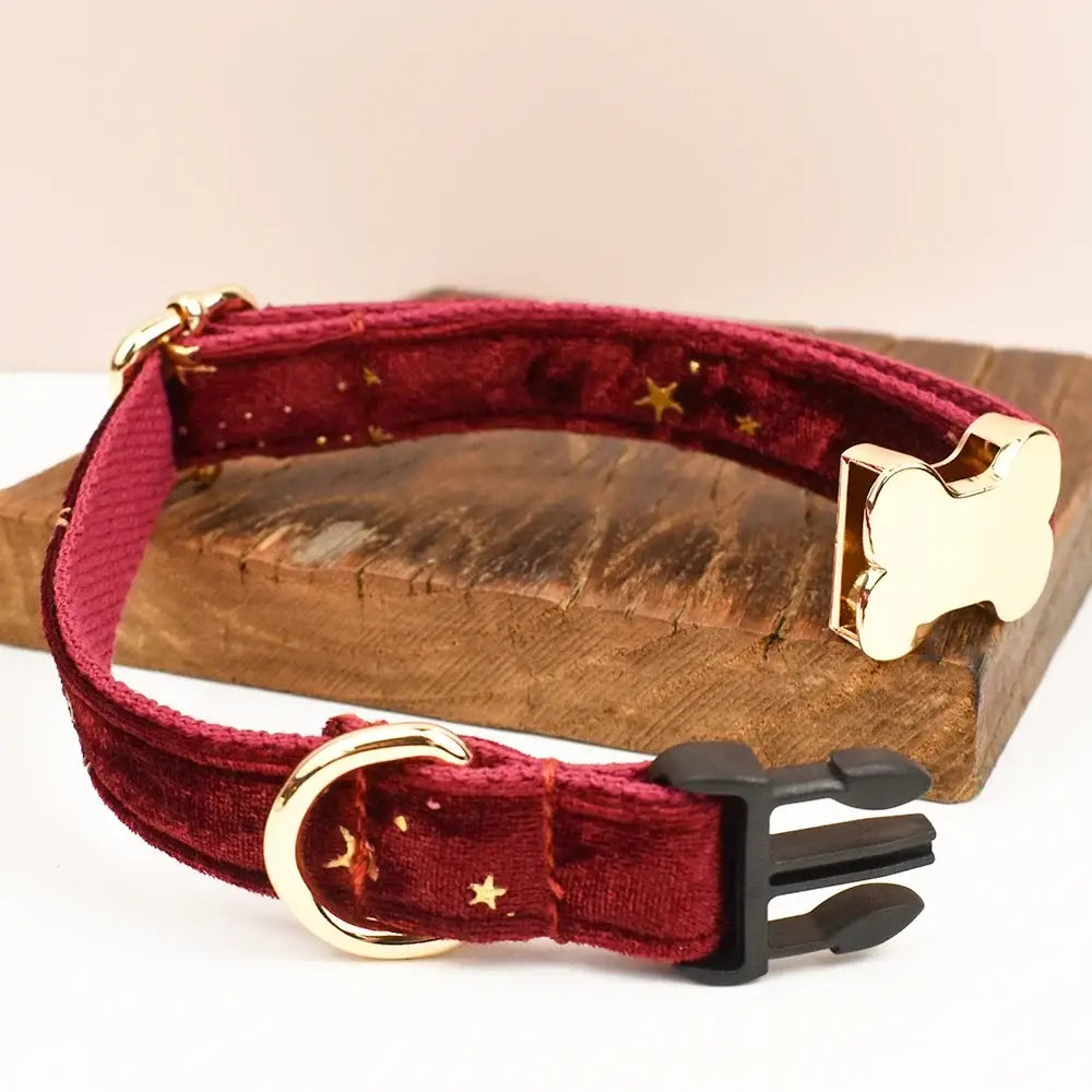 Premium custom engraved burgundy velvet dog collar with gold star embroidery and bone shaped metal buckle for pets