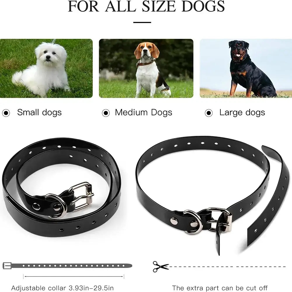 Black adjustable rechargeable electric dog training collar with silver metal buckle and d-ring for all sizes