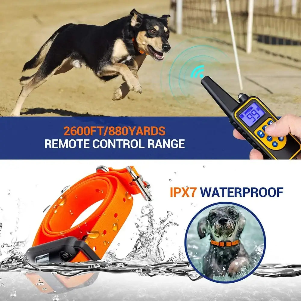 Orange waterproof rechargeable electric dog training collar with black buckle and receiver unit for training use