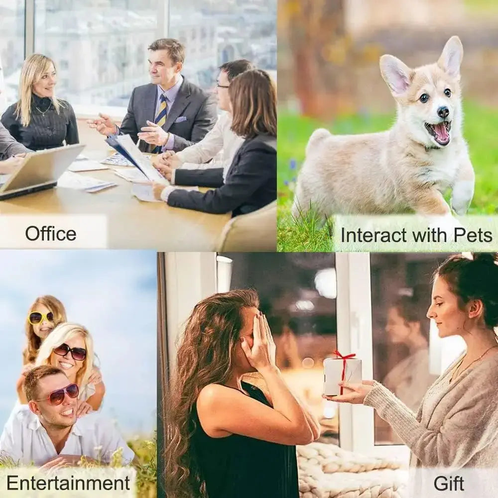 Recordable Dog Communication Buttons