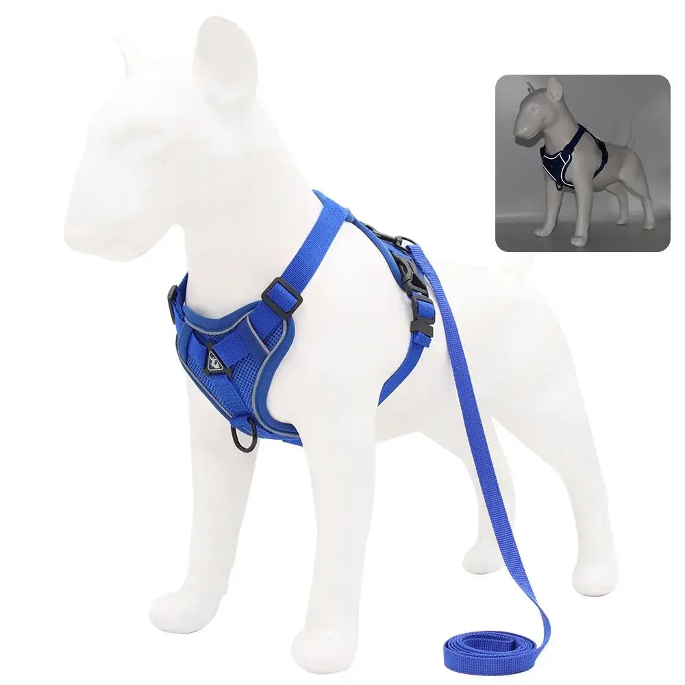 Small dog harness and leash set featuring a blue mesh harness with black buckles and a matching blue leash