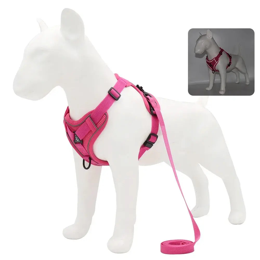 Small dog harness and leash set in bright pink with black plastic buckles for secure and comfortable walks