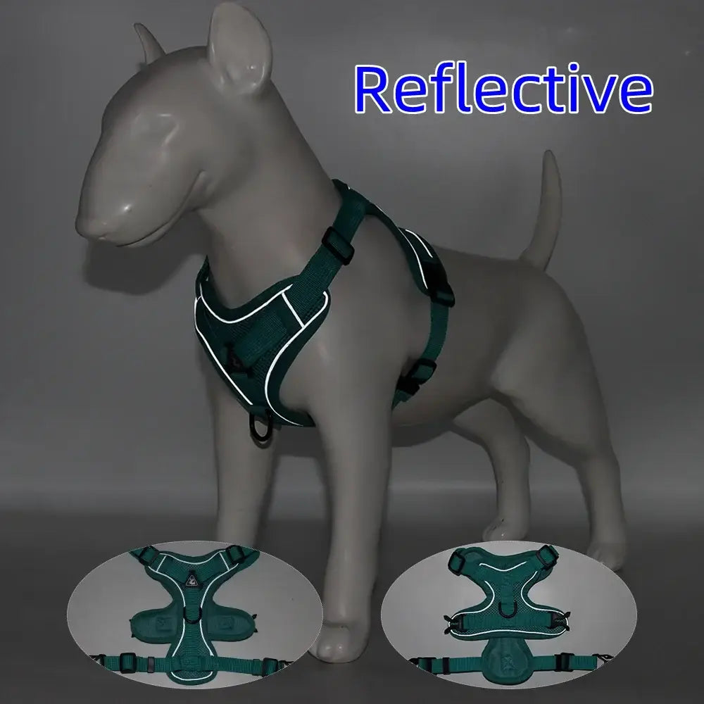 Small dog harness and leash set with teal reflective fabric white trim and black buckles for safety and comfort