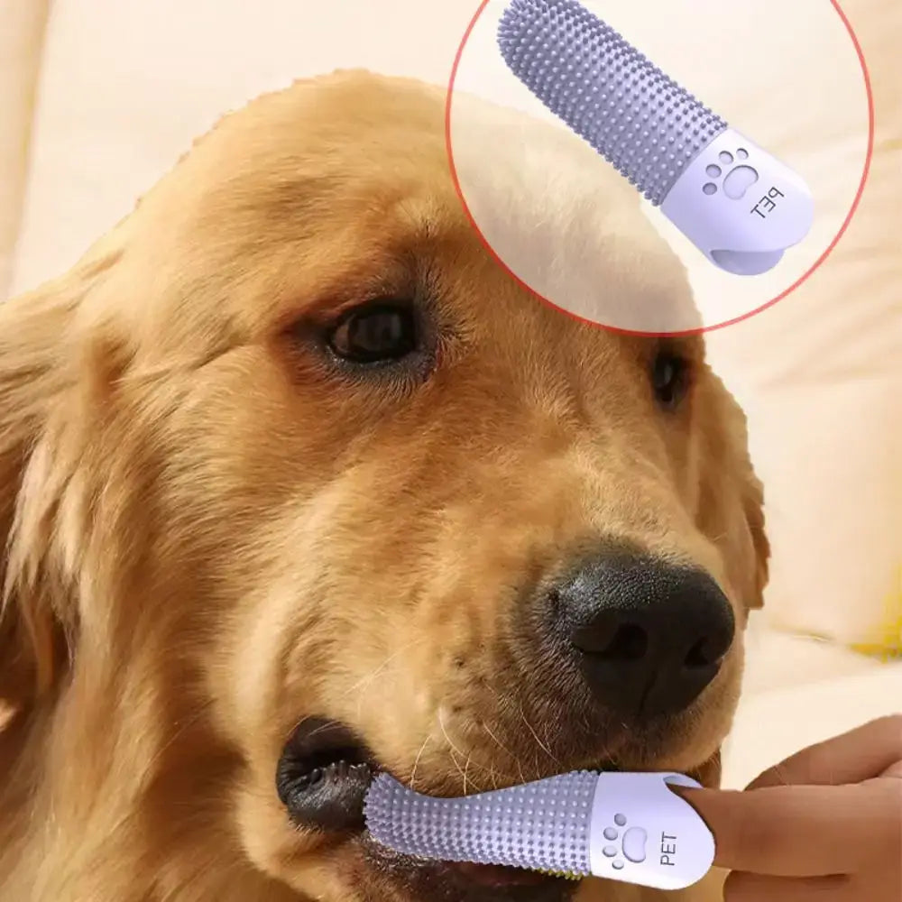 Soft Silicone 360 Degree Pet Toothbrush Finger Brushes