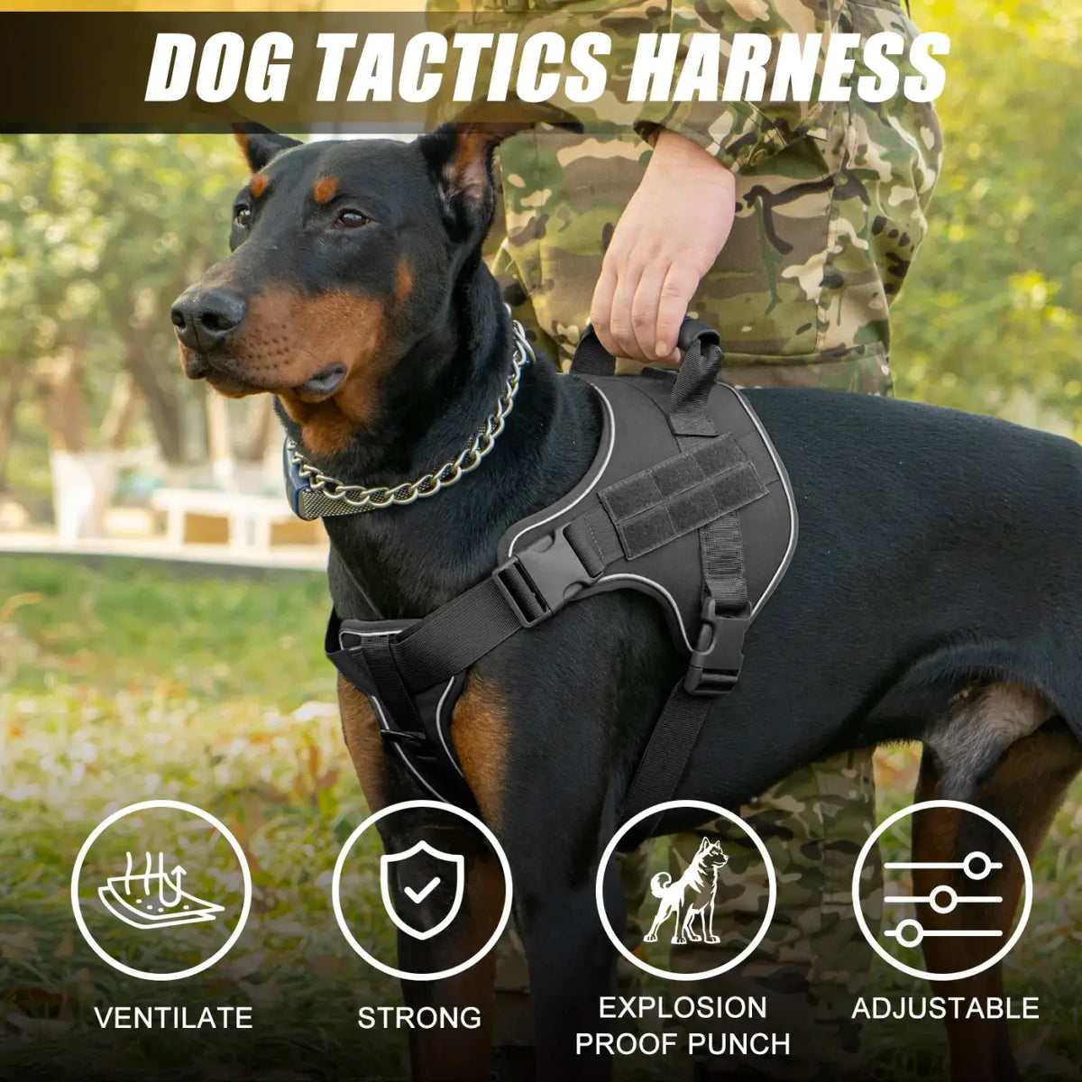 JTPAWS Tactical Dog Training Harness and Vest
