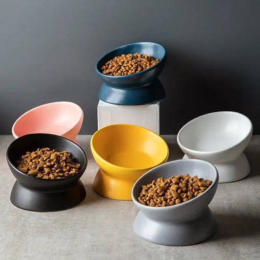 Tilted Elevated Ceramic Cat and Small Dog Bowl Stand