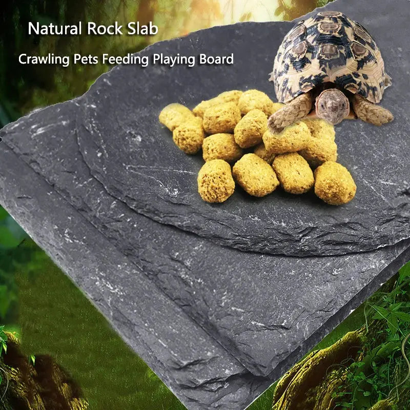 Dark gray natural rock tortoise slab mat serving as a crawling pet feeding and playing board for reptiles