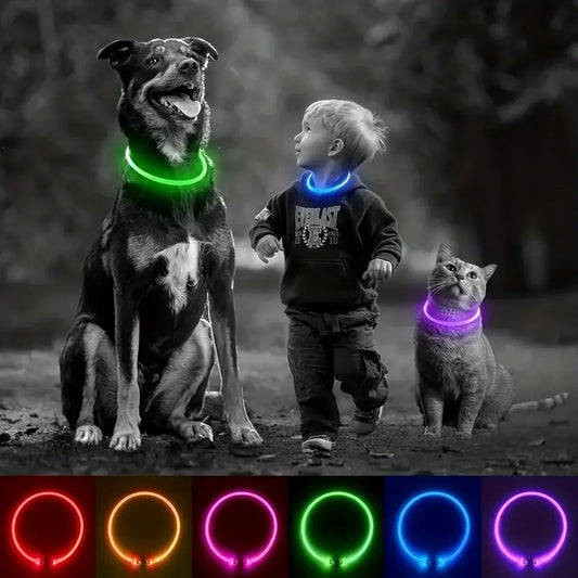 USB Rechargeable LED Pet Light Collar
