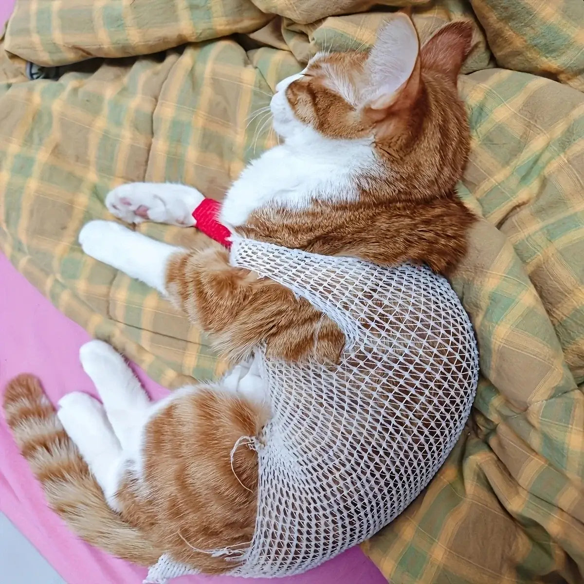 Pet Tubular Elastic Stretch Bandage and Limb Protector