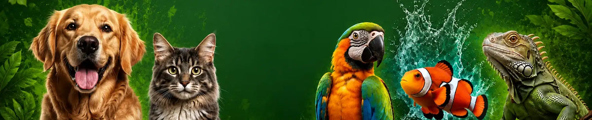 A vibrant, multicolored parrot with a green head and bright orange chest.