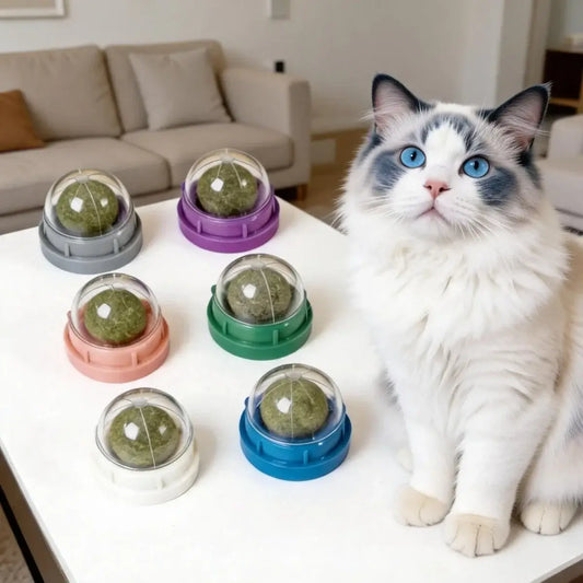 Wall Mount Catnip Ball Cat Toy Natural Treat