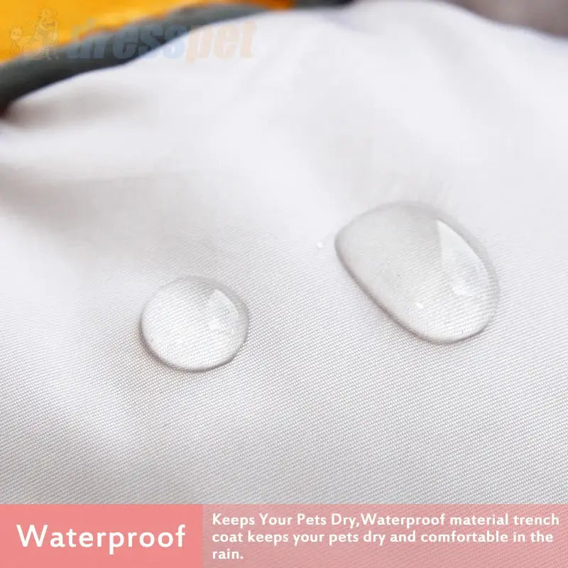Warm Waterproof Winter Dog Jacket for Small Breeds