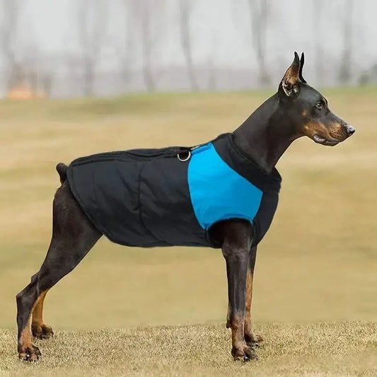 Black and blue insulated dog coat with quilted design winter warm vest jacket in sizes S to 7XL shown from back view